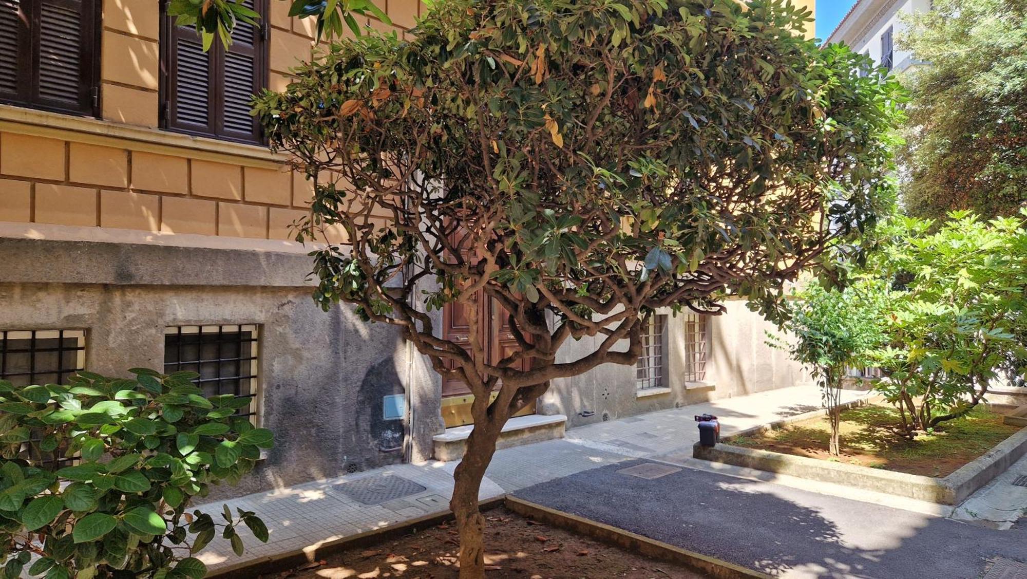 Borghese Magnolia Suite Ρώμη Εξωτερικό φωτογραφία